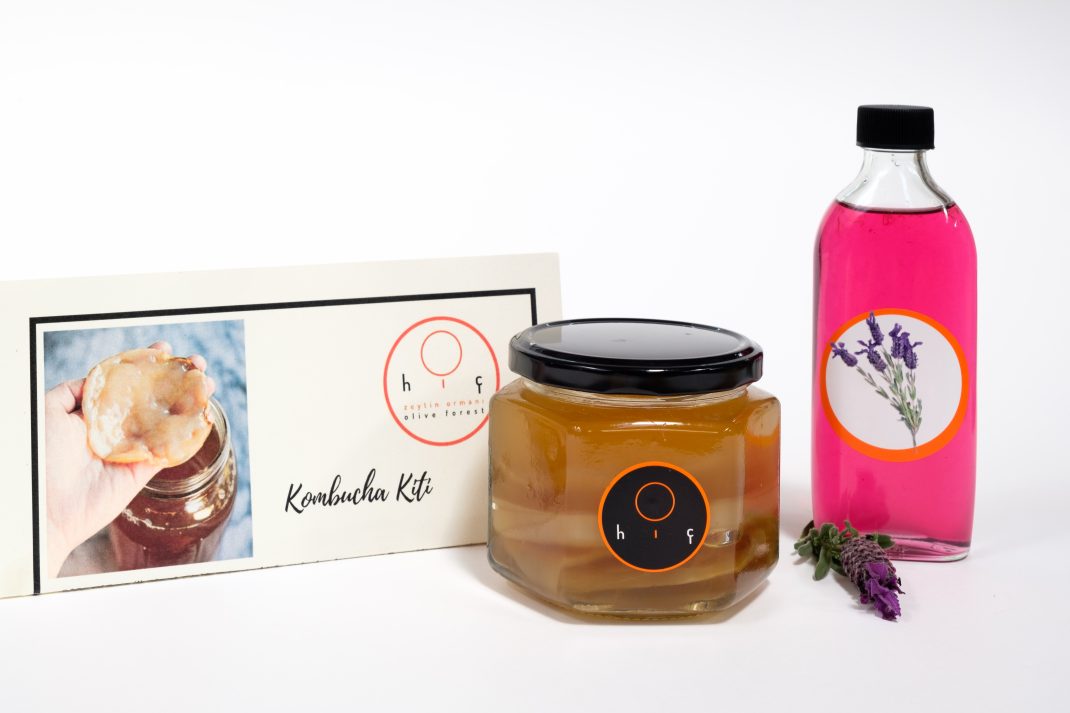 Kombucha Kiti - Yaşayan Gazoz